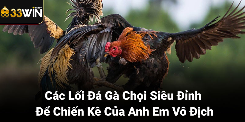 Giới thiệu về đá gà chọi